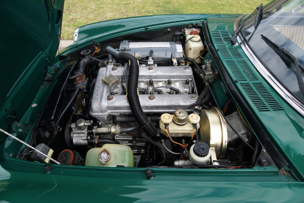 Used 1978 Alfa Romeo Spider Veloce Convertible  | Torrance, CA