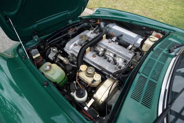 Used 1978 Alfa Romeo Spider Veloce Convertible  | Torrance, CA