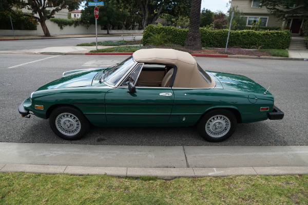 Used 1978 Alfa Romeo Spider Veloce Convertible  | Torrance, CA