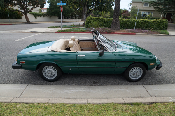 Used 1978 Alfa Romeo Spider Veloce Convertible  | Torrance, CA