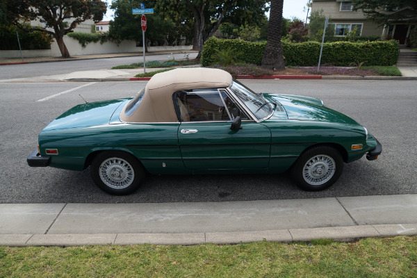 Used 1978 Alfa Romeo Spider Veloce Convertible  | Torrance, CA