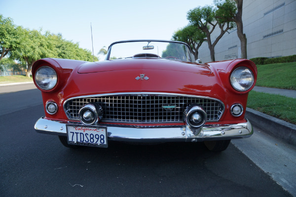 Used 1955 Ford Thunderbird V8 Convertible  | Torrance, CA