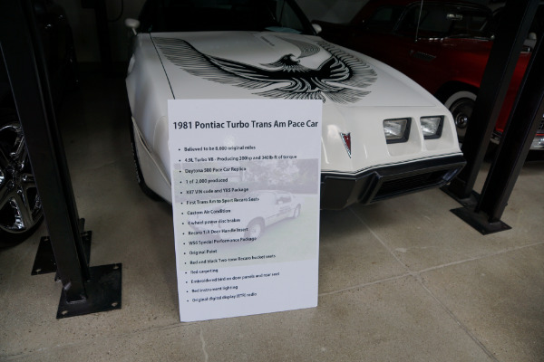 Used 1981 Pontiac Firebird Trans Am Daytona Pace Car Edt Trans Am SE Turbo | Torrance, CA