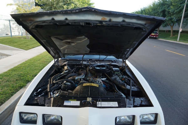 Used 1981 Pontiac Firebird Trans Am Daytona Pace Car Edt Trans Am SE Turbo | Torrance, CA