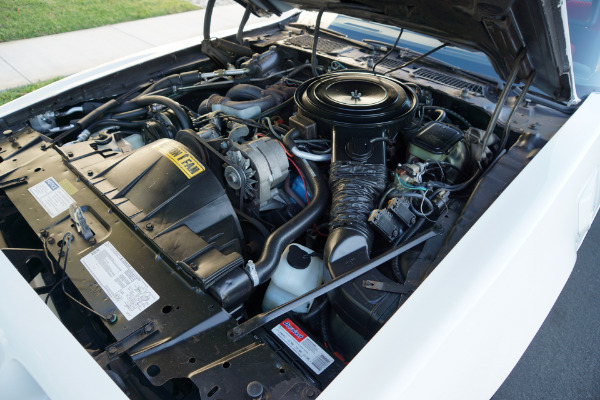 Used 1981 Pontiac Firebird Trans Am Daytona Pace Car Edt Trans Am SE Turbo | Torrance, CA