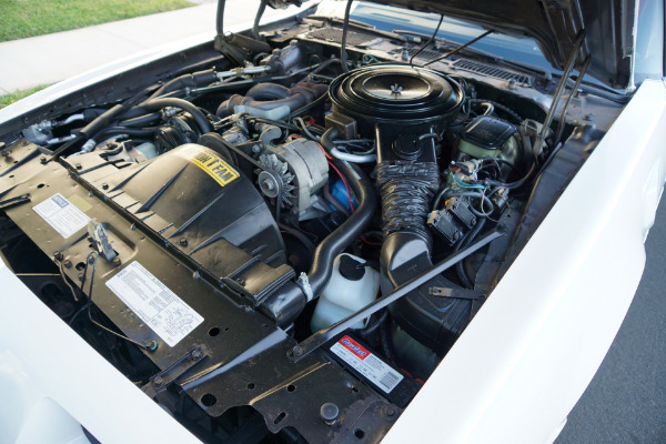 Used 1981 Pontiac Firebird Trans Am Daytona Pace Car Edt Trans Am SE Turbo | Torrance, CA