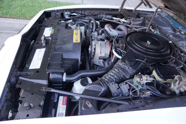 Used 1981 Pontiac Firebird Trans Am Daytona Pace Car Edt Trans Am SE Turbo | Torrance, CA