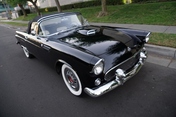 Used 1955 Ford Thunderbird 292 V8 Convertible  | Torrance, CA