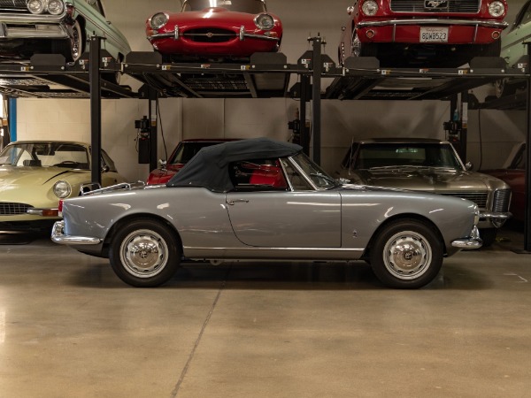 Used 1960 Alfa Romeo Giulietta 1300 Spider Veloce Roadster  | Torrance, CA