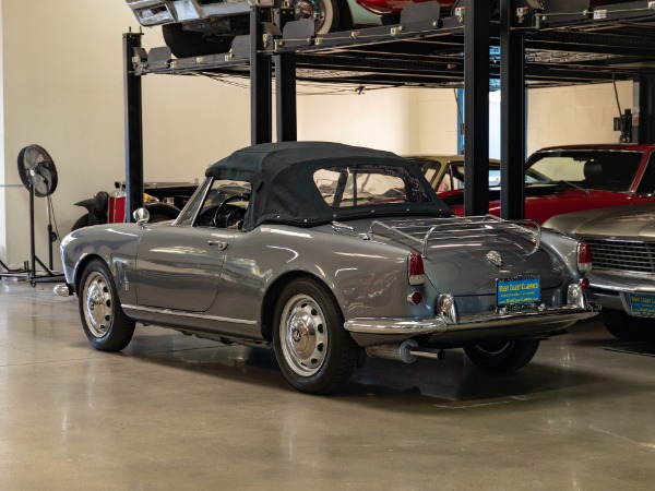 Used 1960 Alfa Romeo Giulietta 1300 Spider Veloce Roadster  | Torrance, CA