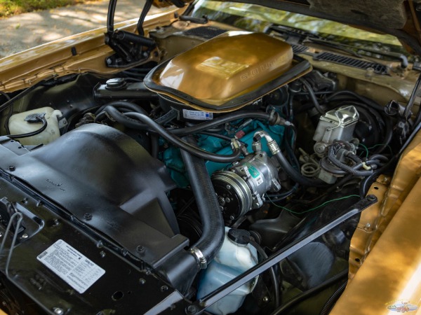 Used 1980 Pontiac Firebird Trans Am 5.0 V8 2 Door Coupe | Torrance, CA