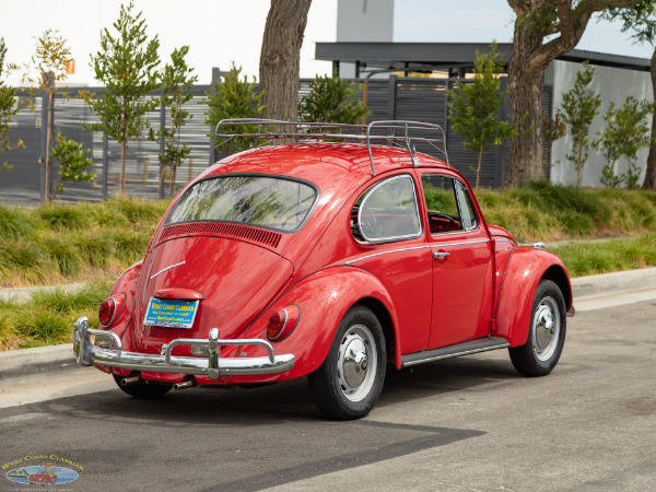 Used 1967 Volkwagen Beetle 2 Door Sedan  | Torrance, CA