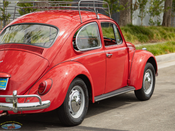 Used 1967 Volkwagen Beetle 2 Door Sedan  | Torrance, CA