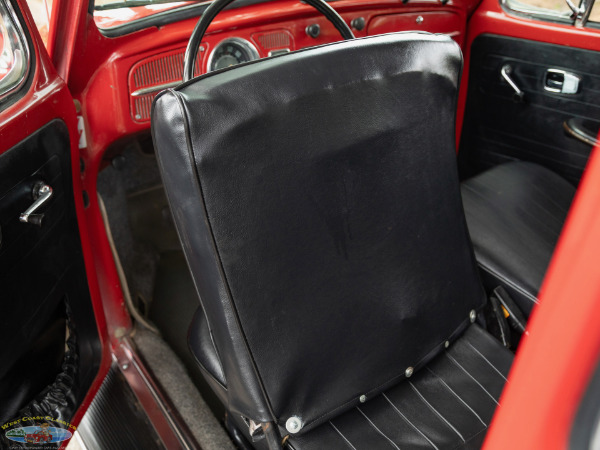 Used 1967 Volkwagen Beetle 2 Door Sedan  | Torrance, CA