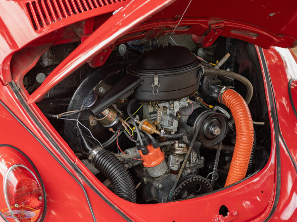 Used 1967 Volkwagen Beetle 2 Door Sedan  | Torrance, CA