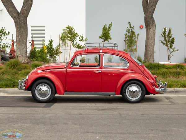 Used 1967 Volkwagen Beetle 2 Door Sedan  | Torrance, CA