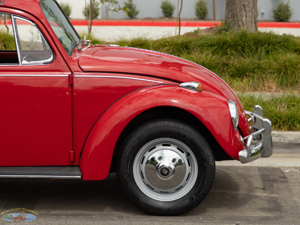 Used 1967 Volkwagen Beetle 2 Door Sedan  | Torrance, CA