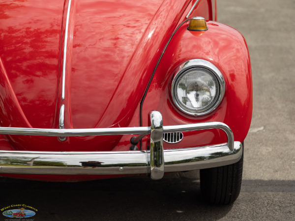 Used 1967 Volkwagen Beetle 2 Door Sedan  | Torrance, CA