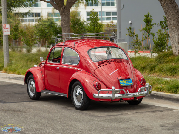Used 1967 Volkwagen Beetle 2 Door Sedan  | Torrance, CA