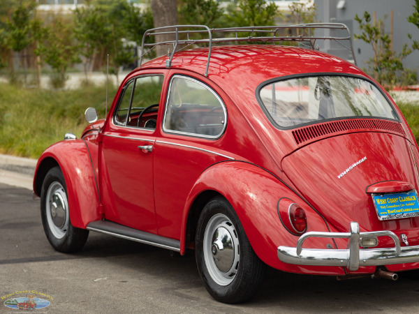Used 1967 Volkwagen Beetle 2 Door Sedan  | Torrance, CA